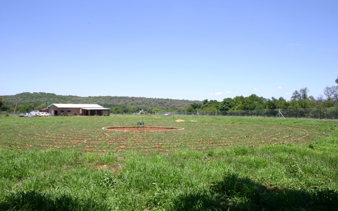 The Labyrinth at Lekker Plekkie